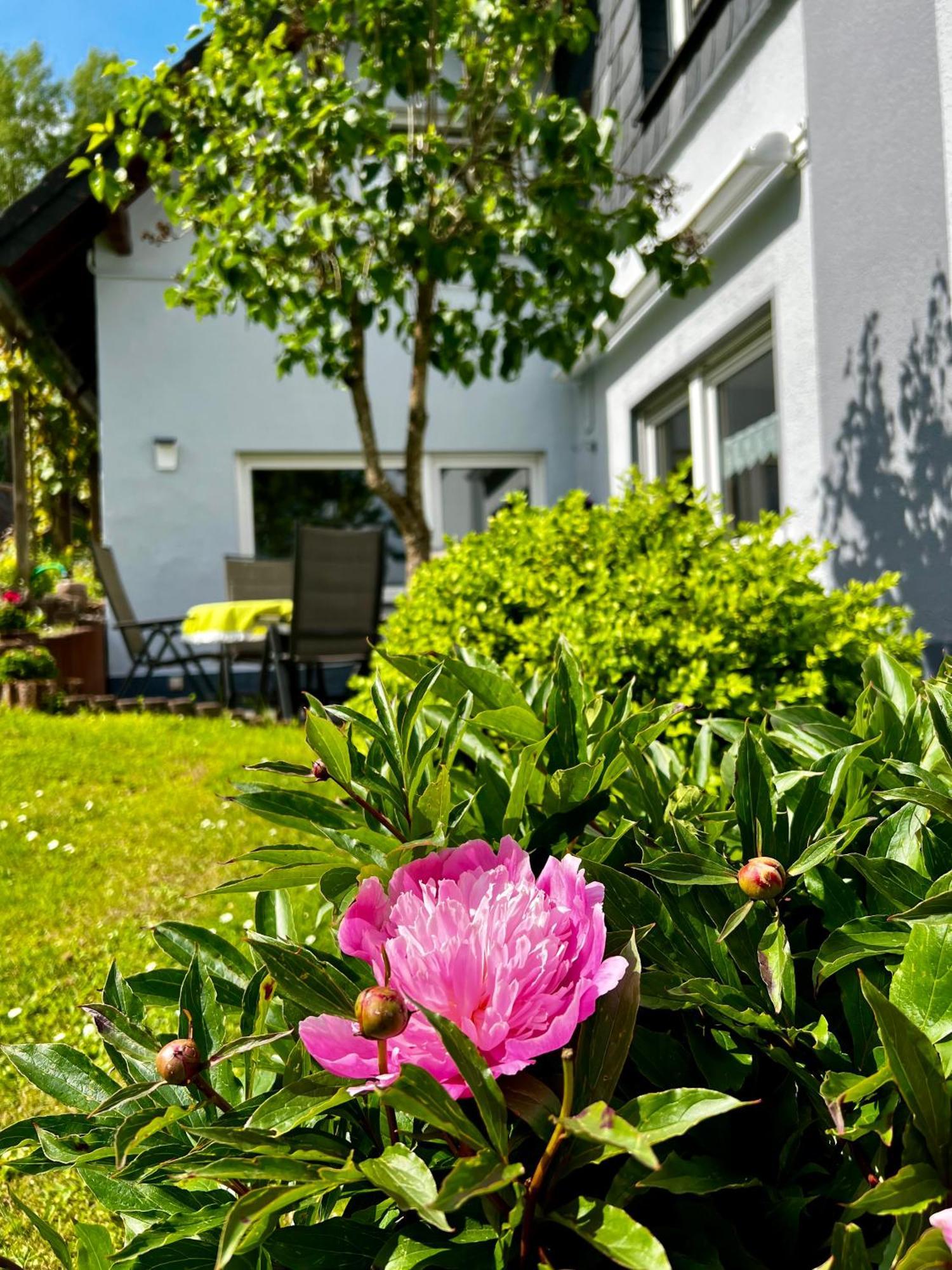 Deine-Eifel-Ferienwohnung Feusdorf Kültér fotó
