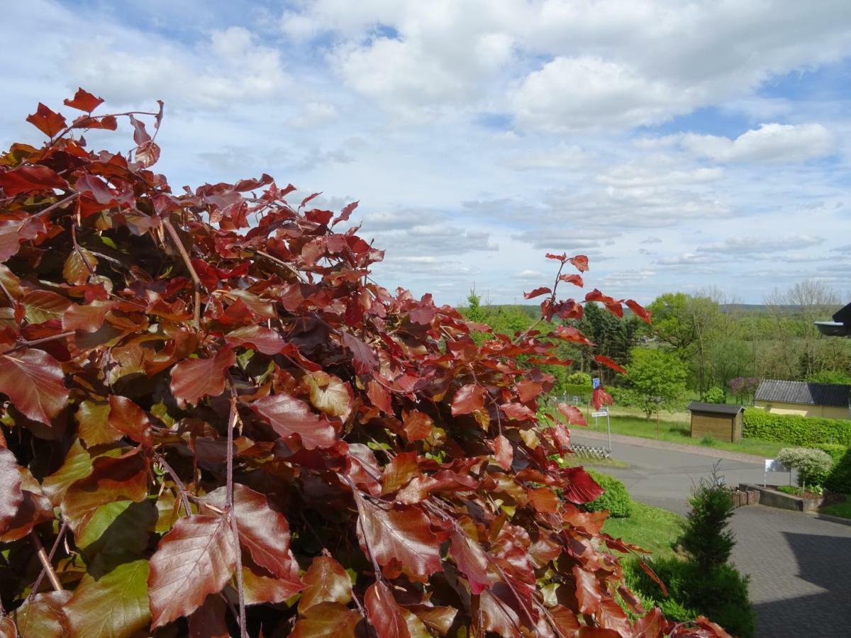 Deine-Eifel-Ferienwohnung Feusdorf Kültér fotó